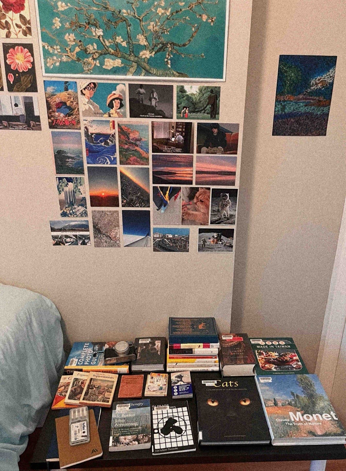 mini home library